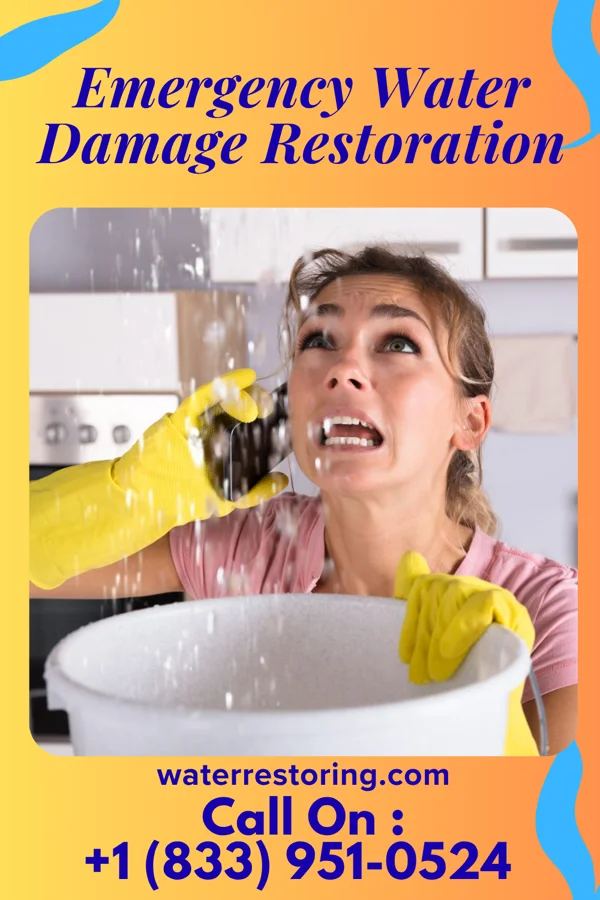 Emergency Water Damage Restoration in Eagle Bend, MN