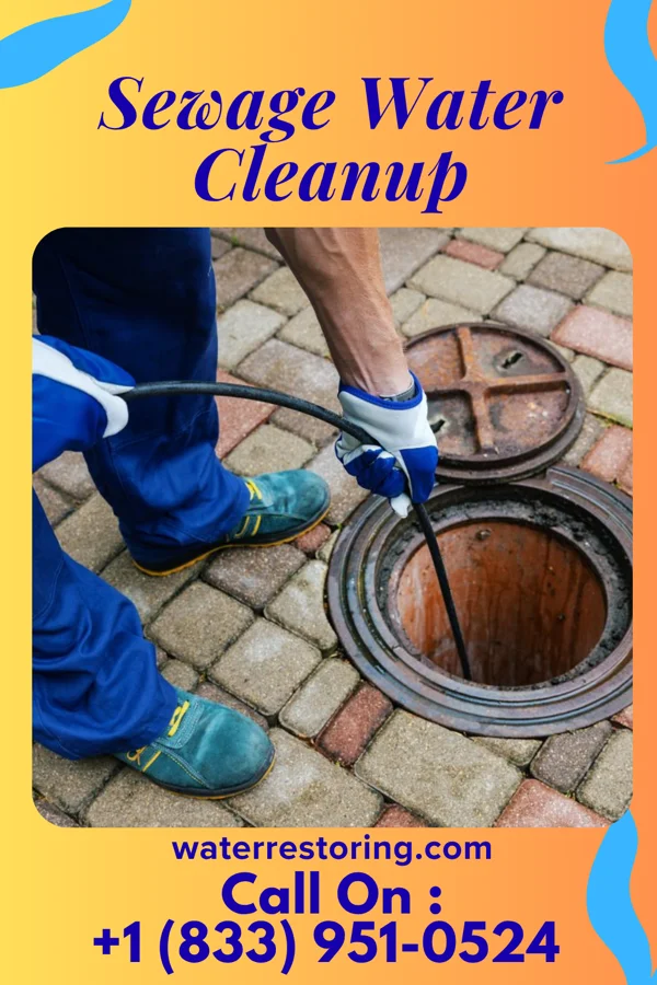 Sewage Water Cleanup in Eagle Bend, MN